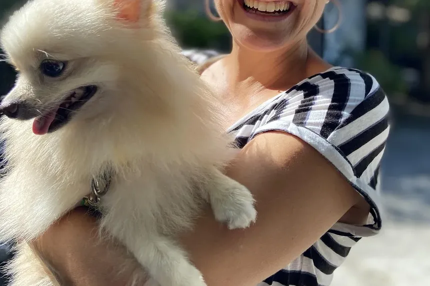 Quais são os Melhores Alimentos para Cães Idosos?